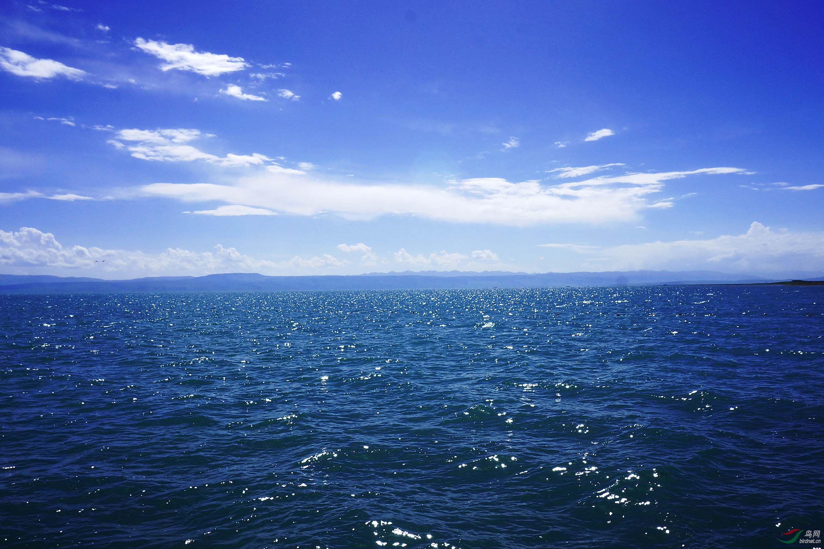 青海湖 青海湖