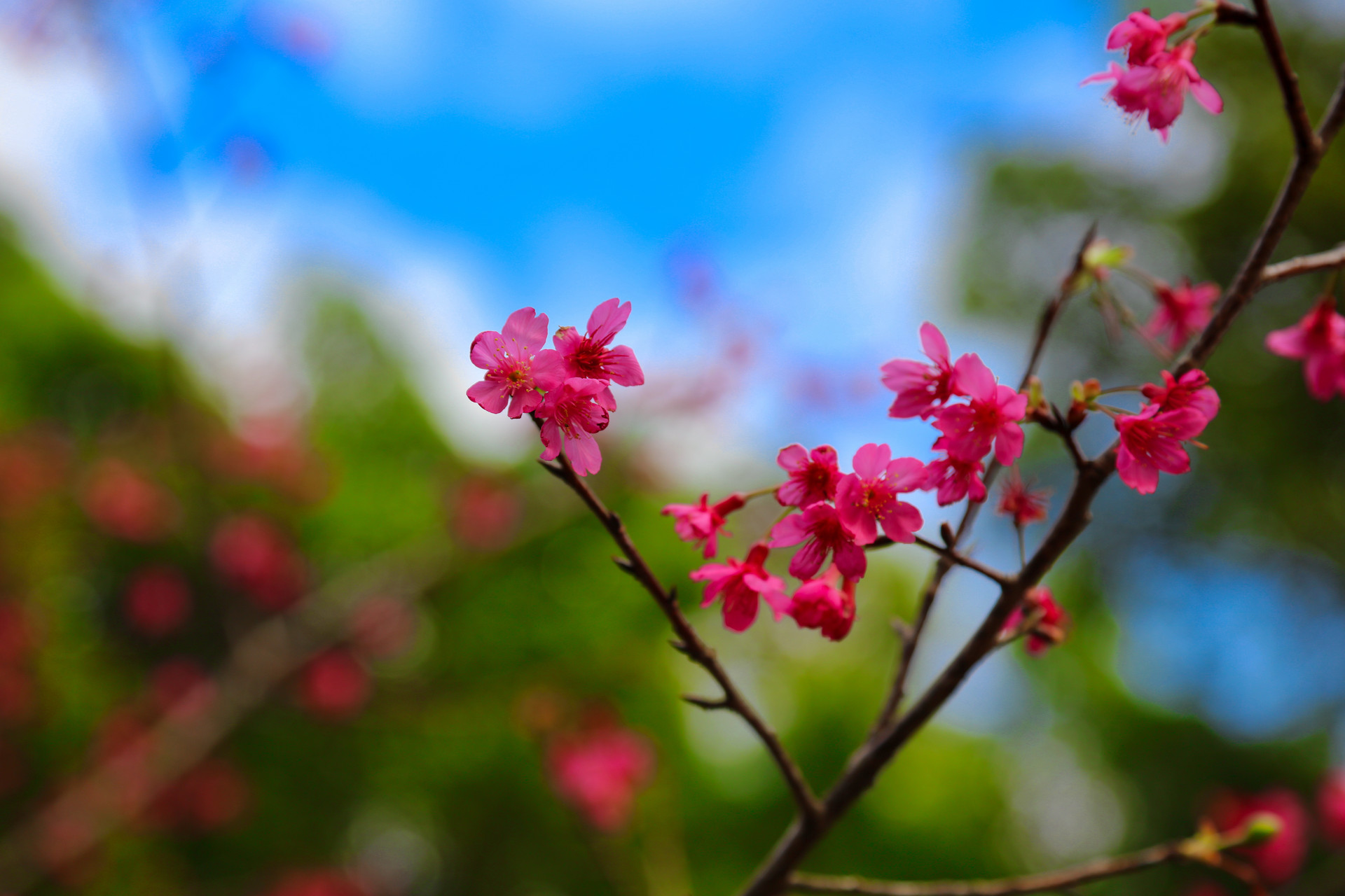 景點(diǎn)封面圖