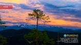 普達(dá)措國家公園（天寶臺(tái)）