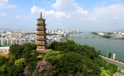 【河源B線2天】<客家圍屋-南園古村、太平古街、客家公園浪漫櫻花+黃花柃木 桃花節(jié)>
