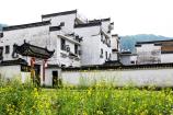 【贛皖風(fēng)情】<廬山、婺源篁嶺、黃山、畫里宏村、瓷都景德鎮(zhèn)高鐵五天團>